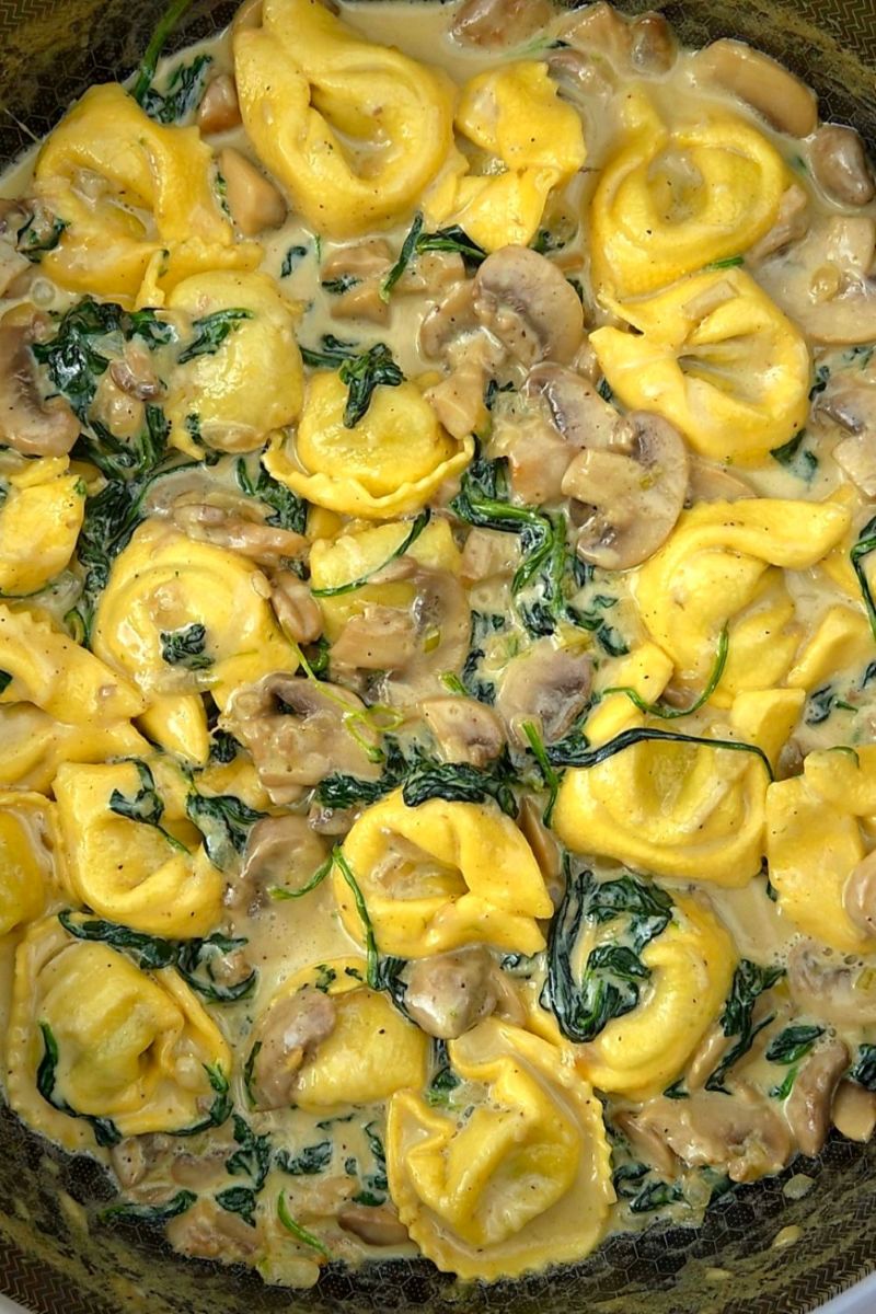 tortellini z pieczarkami w sosie śmietanowym