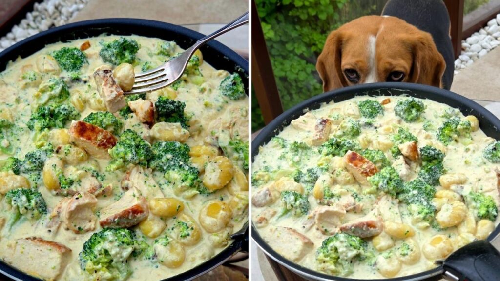 gnocchi z kurczakiem i brokułami